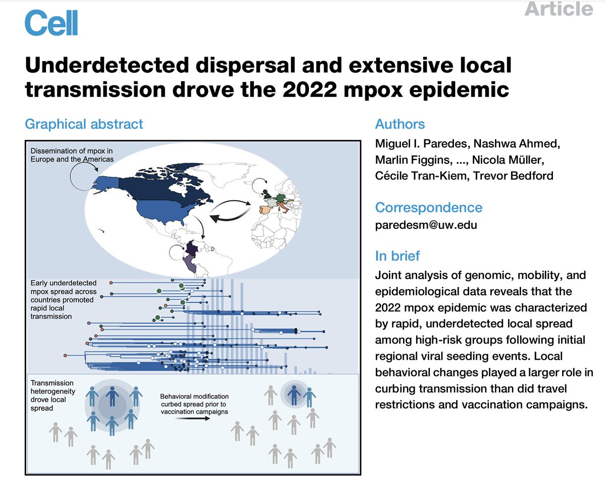 Long thread here on mpox in 2022 and how, if activists had been listened to in the US and globally in May, we could have prevented almost all mpox cases. This new work from @trvrb is a masterpiece in using viral phylogenetics to make essential inferences about epidemiology.