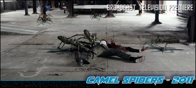 2011's 'Camel Spiders' turns 13 years young today! scifihistory.net/march-4.html
@Syfy
@jbwilke
@C_Thomas_Howell
@dianaterranova
@GIGIERNETA
@kurtyaeger
@AURADRONE
@AnchorBayEnt
#ScienceFiction 

!!! Please Retweet !!!