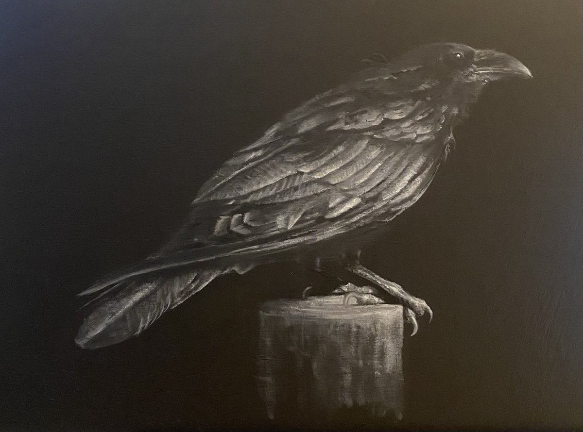 Back to #big #birds in #oilpaint. A #raven with glossy #plummage #art #painting #scottishartist #originalart #artforsale #shopscotland #ukgiftam #monochrome #light #ukcrafthour #nature #wildlife #corvid