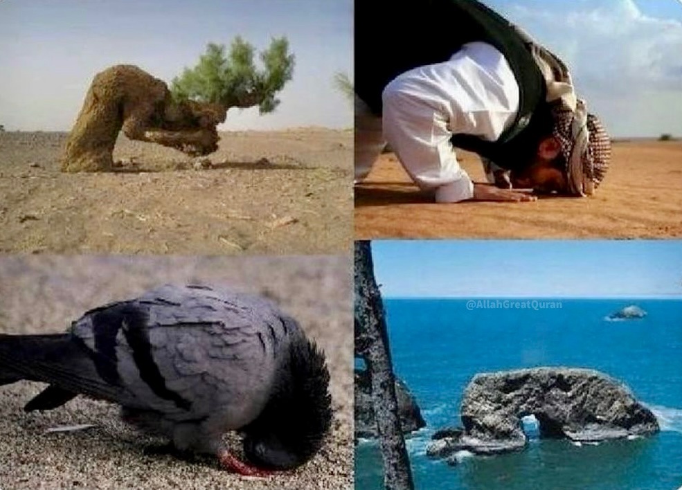 Say Allahu’Akbar and repost.