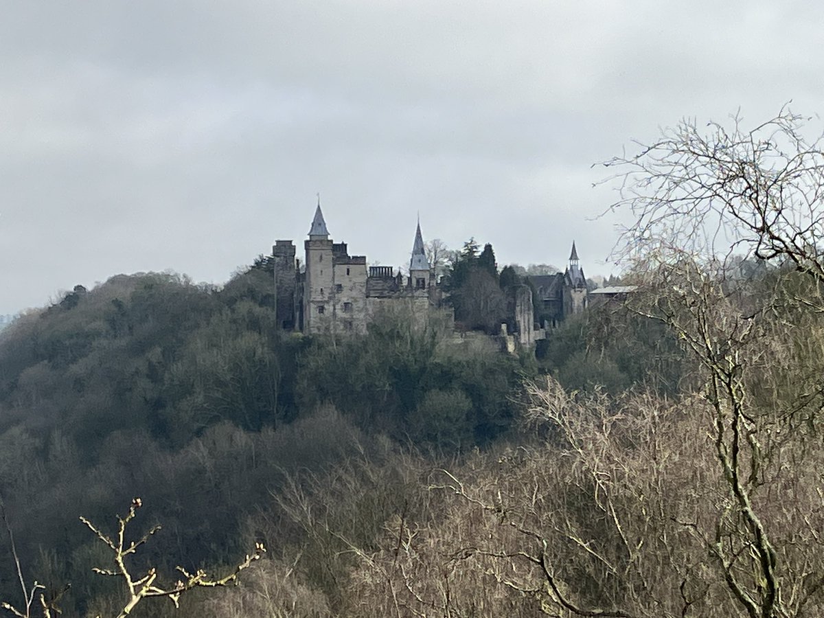 Haunted trees of @altontowers fame? 🎃 🌳 ✅ Beautiful #disusedstations? 🚂 ✅ Bavarian-style castles? 🏰 ✅ Today’s 8 mile hike with the #Derbyshire Young Walkers in the Churnet Valley had it all. Great day and company once again. 🥾🏔️ #hiking #hikingadventures