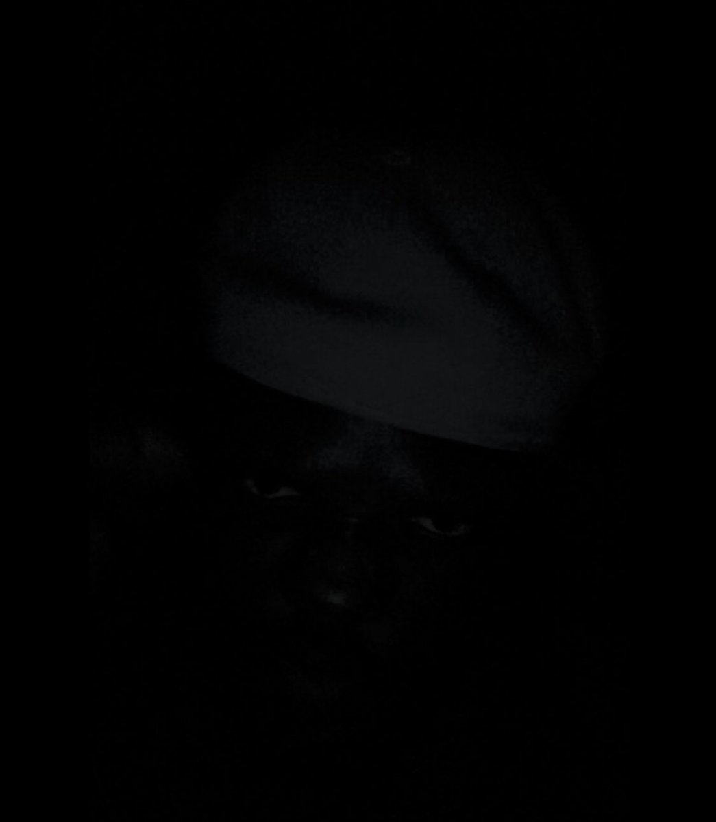 BubaPantHer's tweet image. D£¥ PLAY 

#BAWASA 🙅🏽🙅🏽‍♀️ #DONTPLAY 
#GETGO #NewMusic #OutNow 
#KOMODOIGODO 🐲
#BLVCKSICILY ✨🎩✨