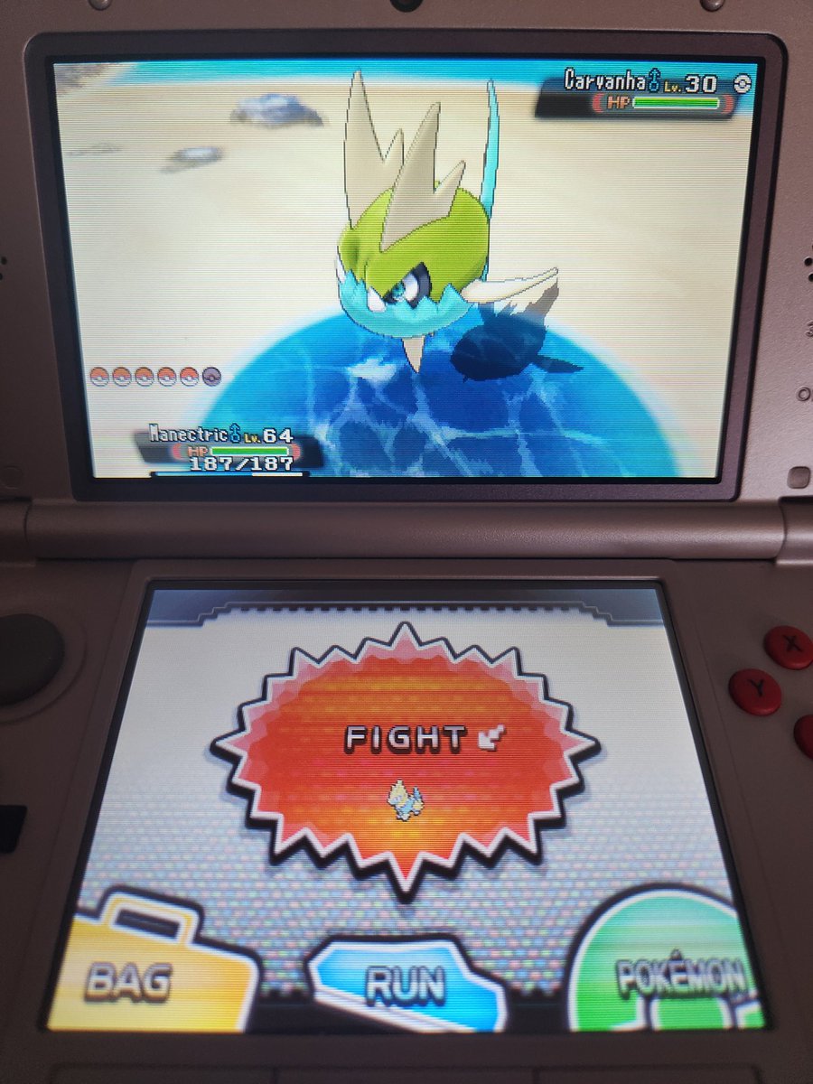 NarGaar001's tweet image. Shiny Carvanha in 123 fishing encounters on Alpha Sapphire!! ✨️
#Pokemon #PokemonAlphaSapphire #PokemonOmegaRuby #Nintendo #ShinyPokemon