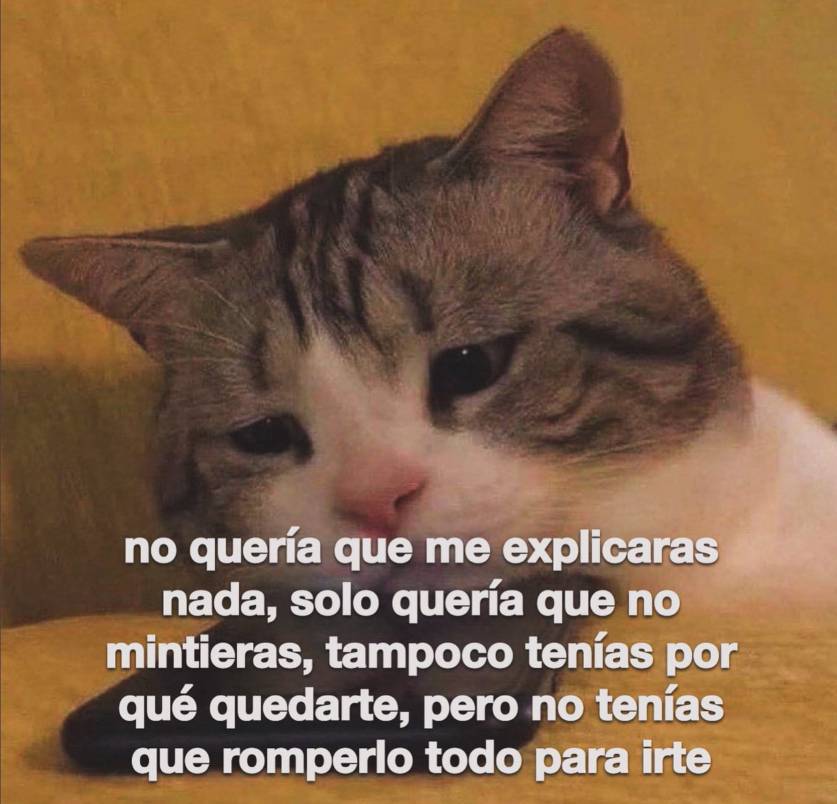 emociones amarillas (@conoloracigarro) on Twitter photo 