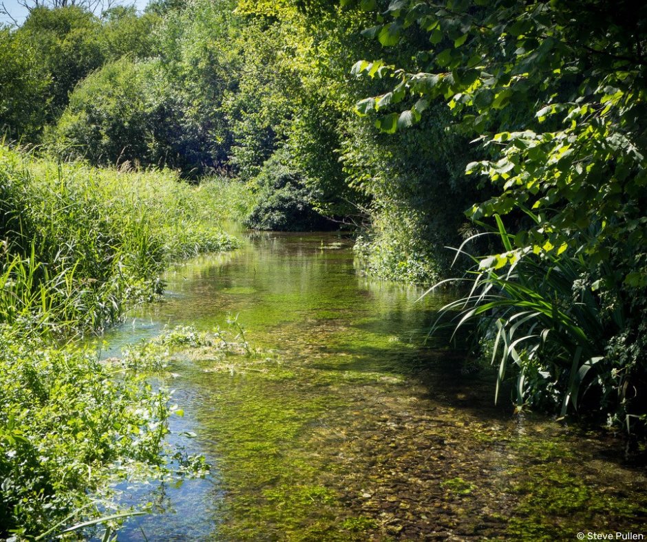 Missed our recent talk on chalk stream restoration with @WessexRivers? You can now catch up on YouTube - learn how modification has harmed these habitats, and how we can restore them to health 💙 youtu.be/ZSpv6zWLQK4

#WatercressAndWinterbournes @HeritageFundUK