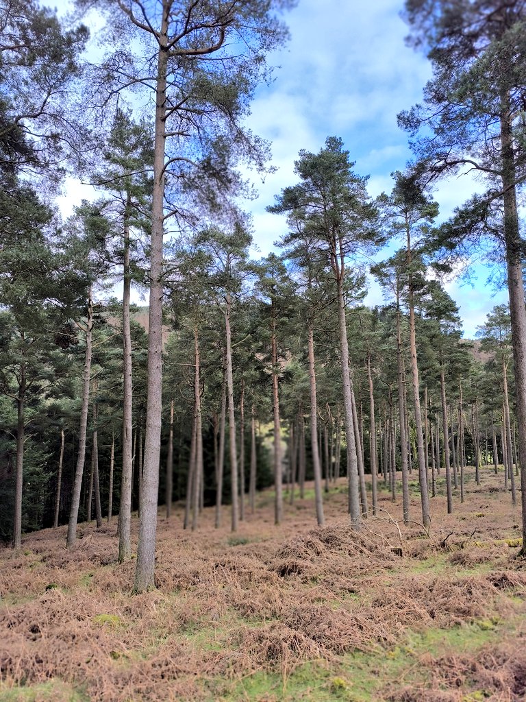 📍Glenmalure, Co. Wicklow