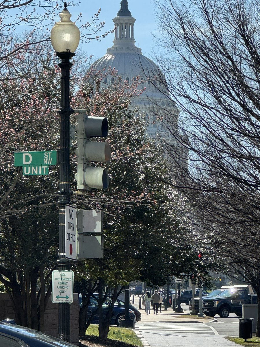 As we prepare to lobby for #TROA tomorrow, 12 years of it now, all I can hear in my head is School House Rock “I’m just a bill…”. Let’s go! Watch it below on YouTube and thank me later! 😂 @ObesityAction @OMAsocial @ObesityCareWeek #WOD2024 youtu.be/3eeOwPoayOk?si…