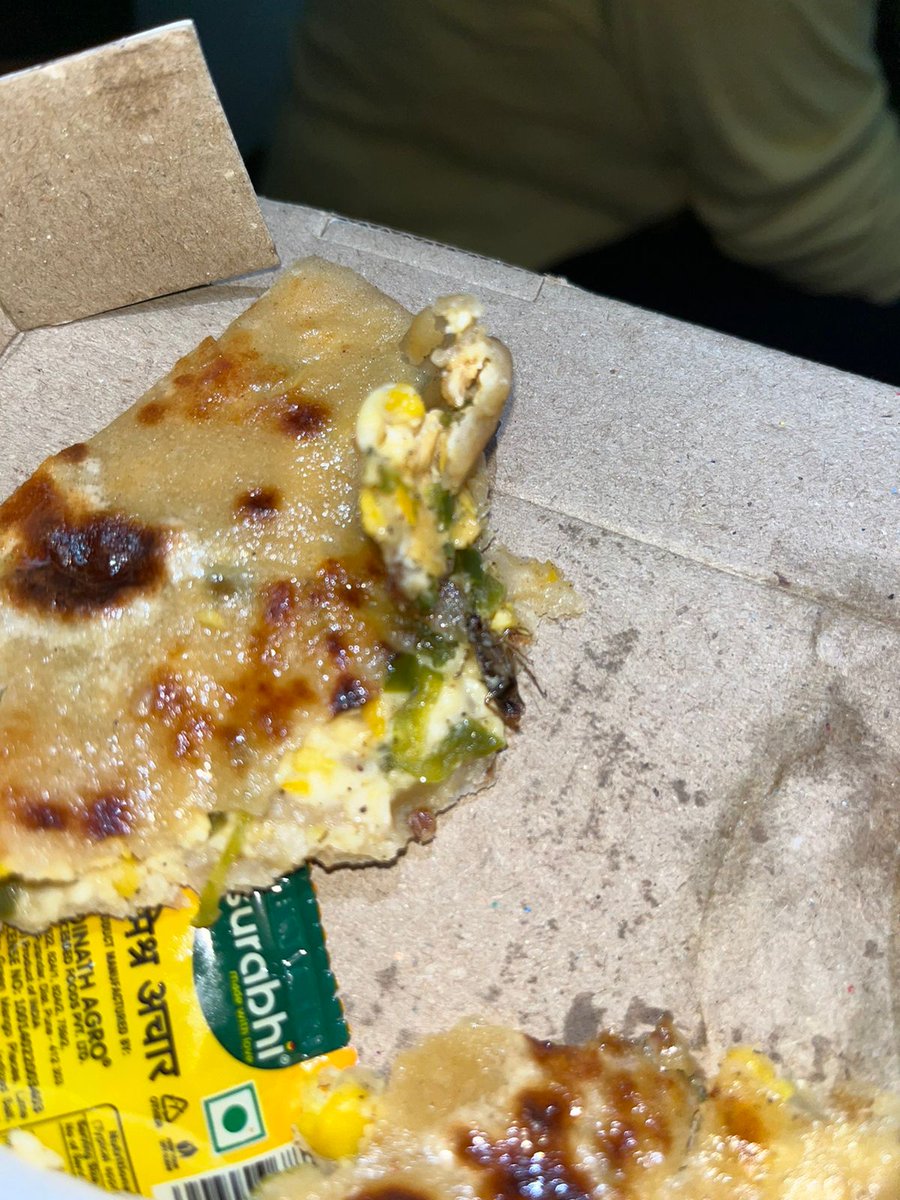 Rohittedd's tweet photo. @Swiggy @OyeKiddan @SwiggyCares  This is purely a case of negligence and taking customers for granted.
My friend ordered paratha from Oye kiddan through swiggy and cockroach was seen in paratha after eating it half. This is not about refund or anything but this ... https://t.co/5fuPlBRpTd