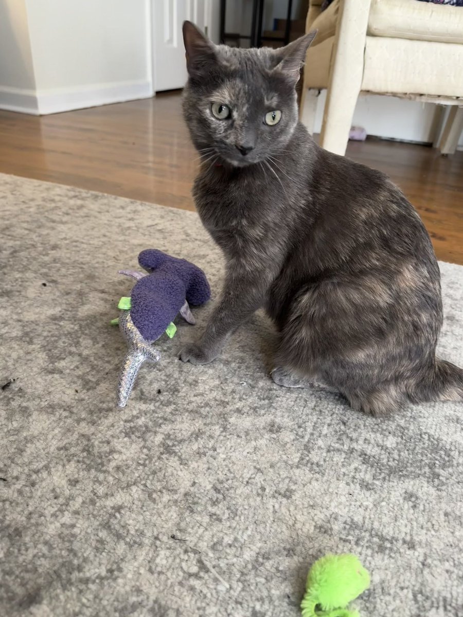 Riley and Izzy tweet media