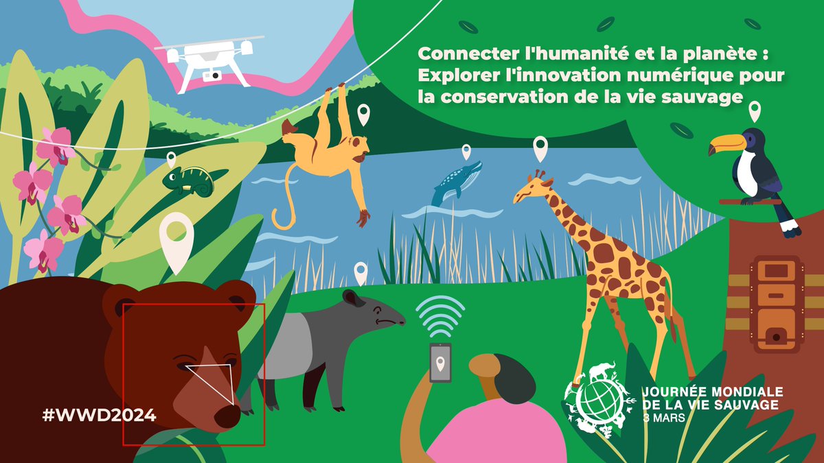 ICCWC_FR tweet picture