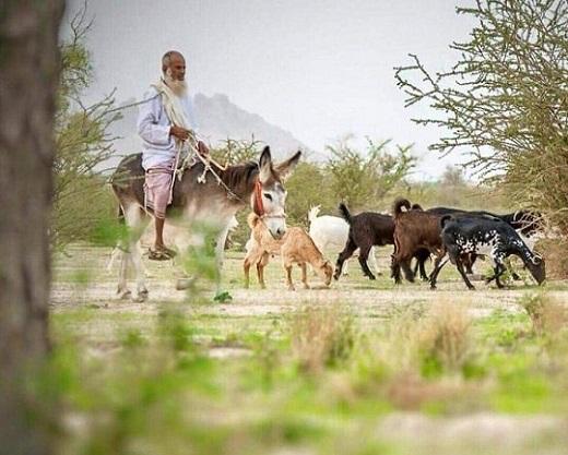 #حساب_المواطن
" سألني : هل رأيت الله ؟
قلت : نعم .. كثيرا ..
قال : متى ؟
قلت : حين سترني ورزقني وعافاني واواني واطعمني وسقاني "