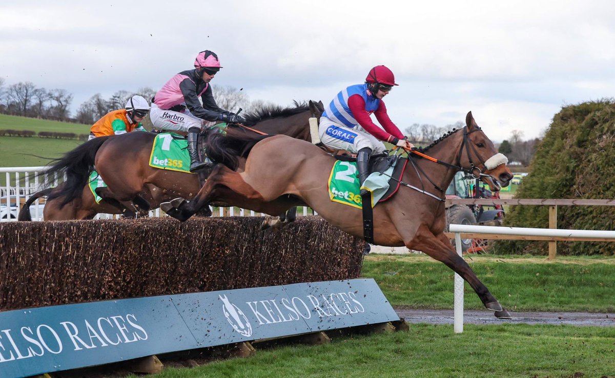 Sean_Bowen_'s tweet image. A couple of bunnies 🐰🤩

@O_J_murphy91 @KeighleyTeam 

#saturdaywinner #nationalhunt #kelso #leicester #jockeylife #jumpjockey