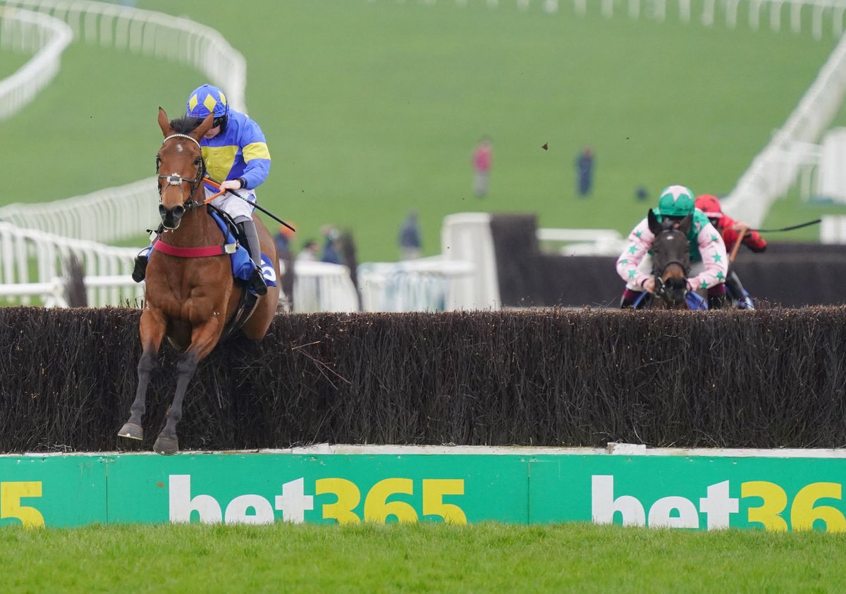 A couple of bunnies 🐰🤩

@O_J_murphy91 @KeighleyTeam 

#saturdaywinner #nationalhunt #kelso #leicester #jockeylife #jumpjockey