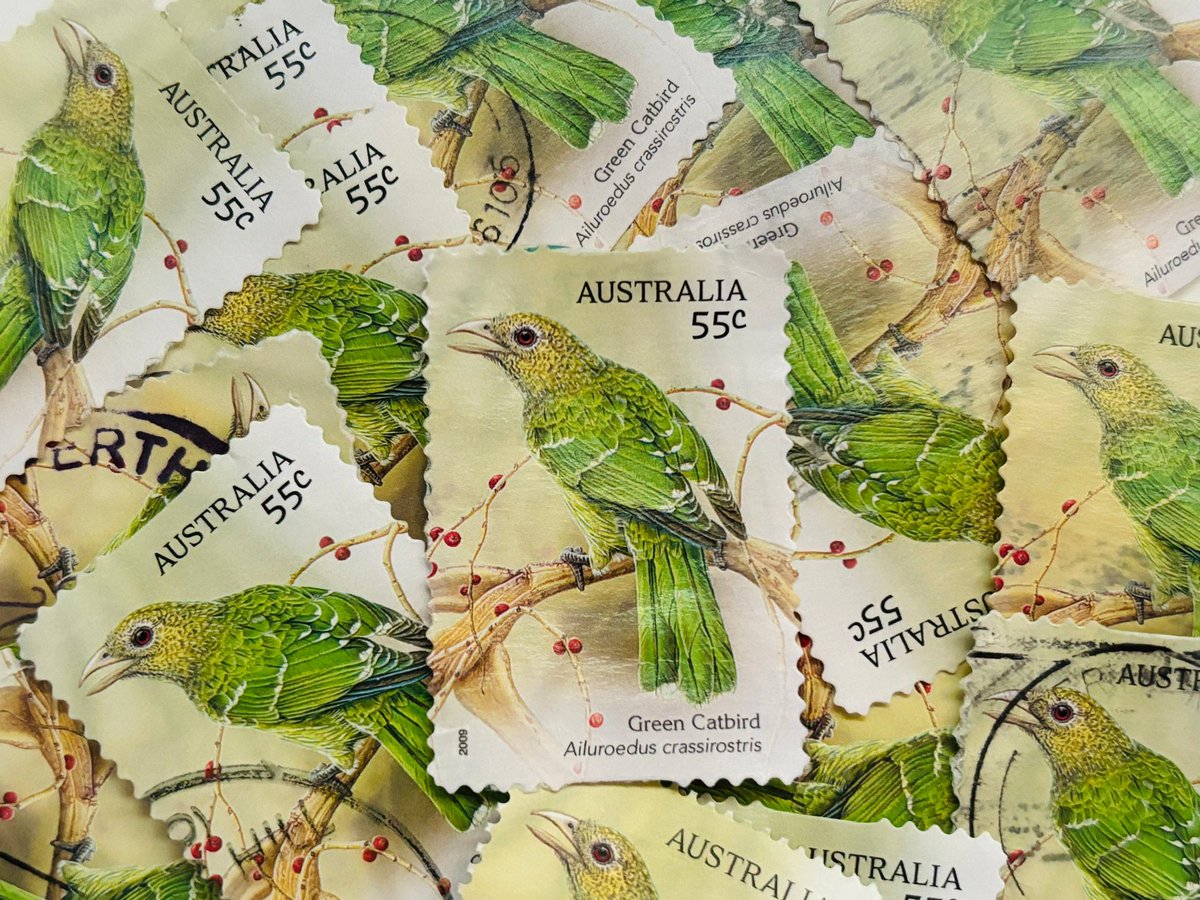 New Listing - 🇦🇺 Australia Postage Stamps Green Catbird/2009
#craftbizparty #earlybiz #inbizhour #mhhsbd  #ukgiftam #postagestamps #art  #scrapbooking #ephemera #junkjournal #collage #decoupage #papercrafts #stampart #postagestampart #philately