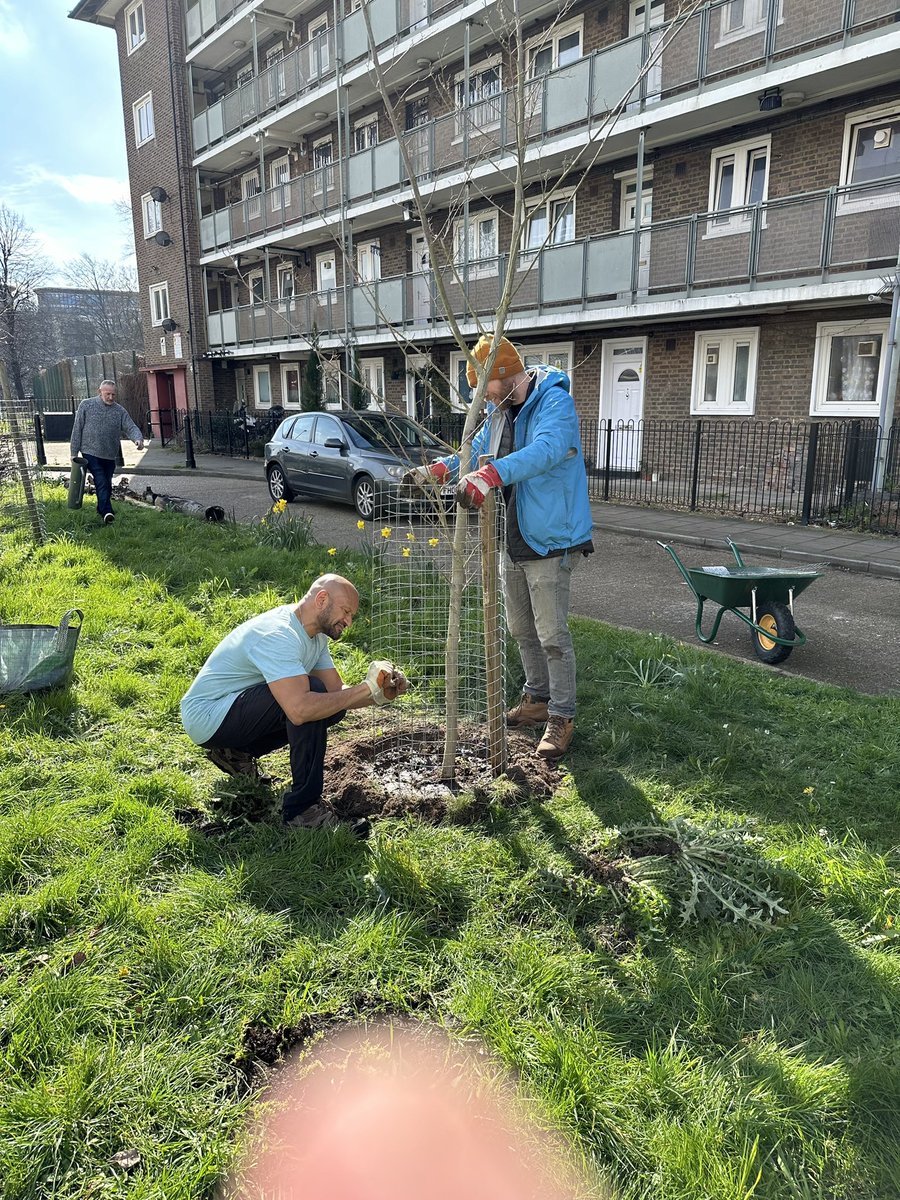 @Elms4London We would like to thank @Elms4London for the trees they have given us. We are proud to have planted 8 so far in and around Meath Gardens! Thank you for stopping by to see us planting today.