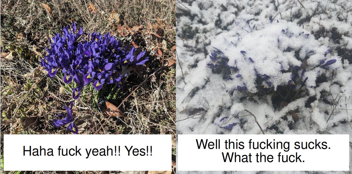 #phenology #iamabotanist