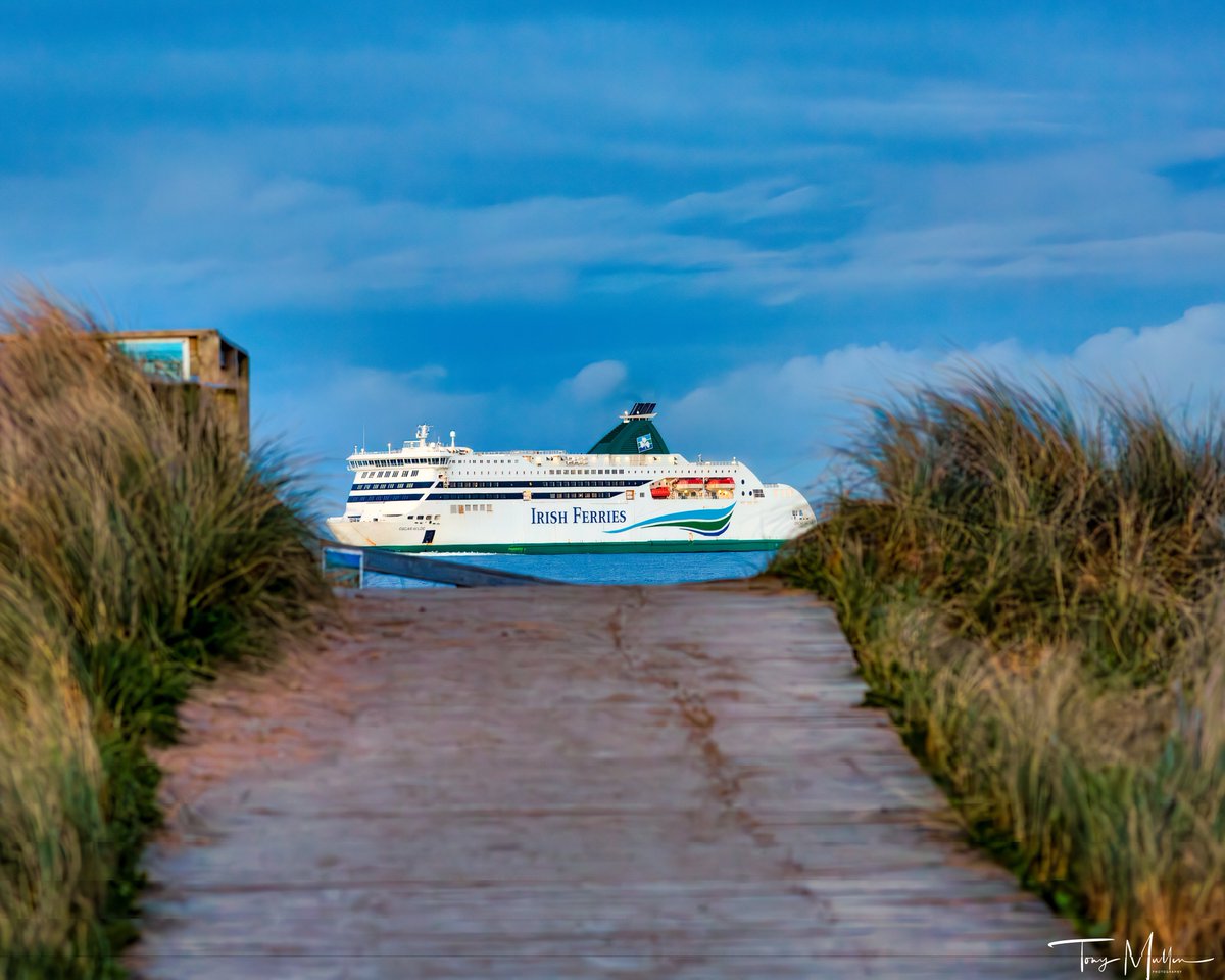 Oscar Wilde arriving into Rosslare Harbour this evening.