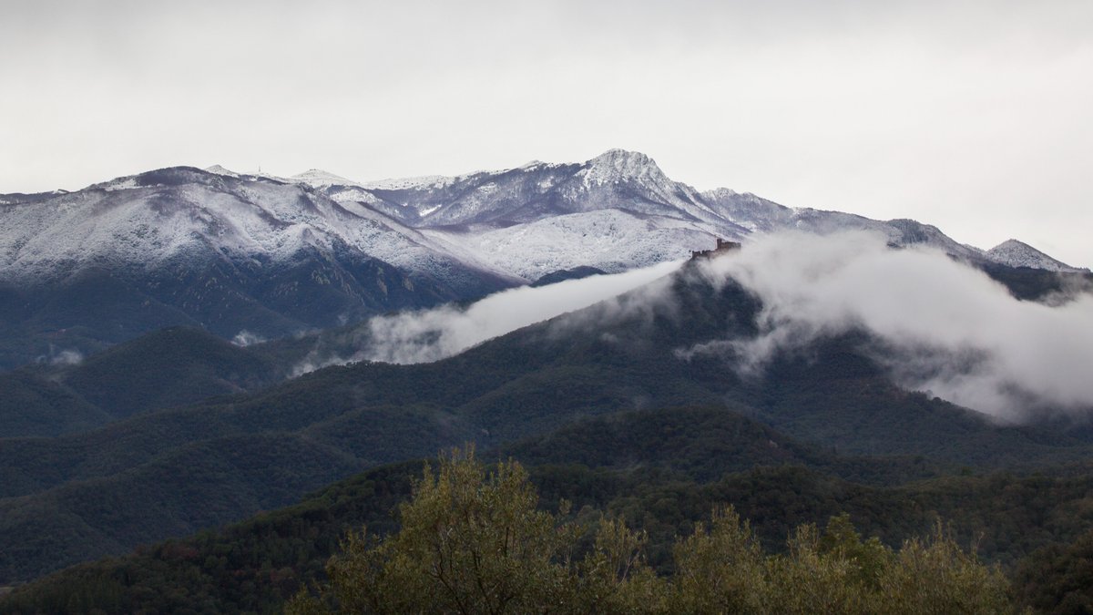 Amb el Castell de Montsoriu podem veure el nivell de la nevada al Montseny, es troba a 632 metres... amb una imatge molt maca i fantasmagorica... #ElTemps3Cat @Vakapiupiu @TomasMolinaB @MeteoMauri @alcantara_alb @SergiLoras @SoniaPapell @AlfredRPico @catexperience @montsoriu