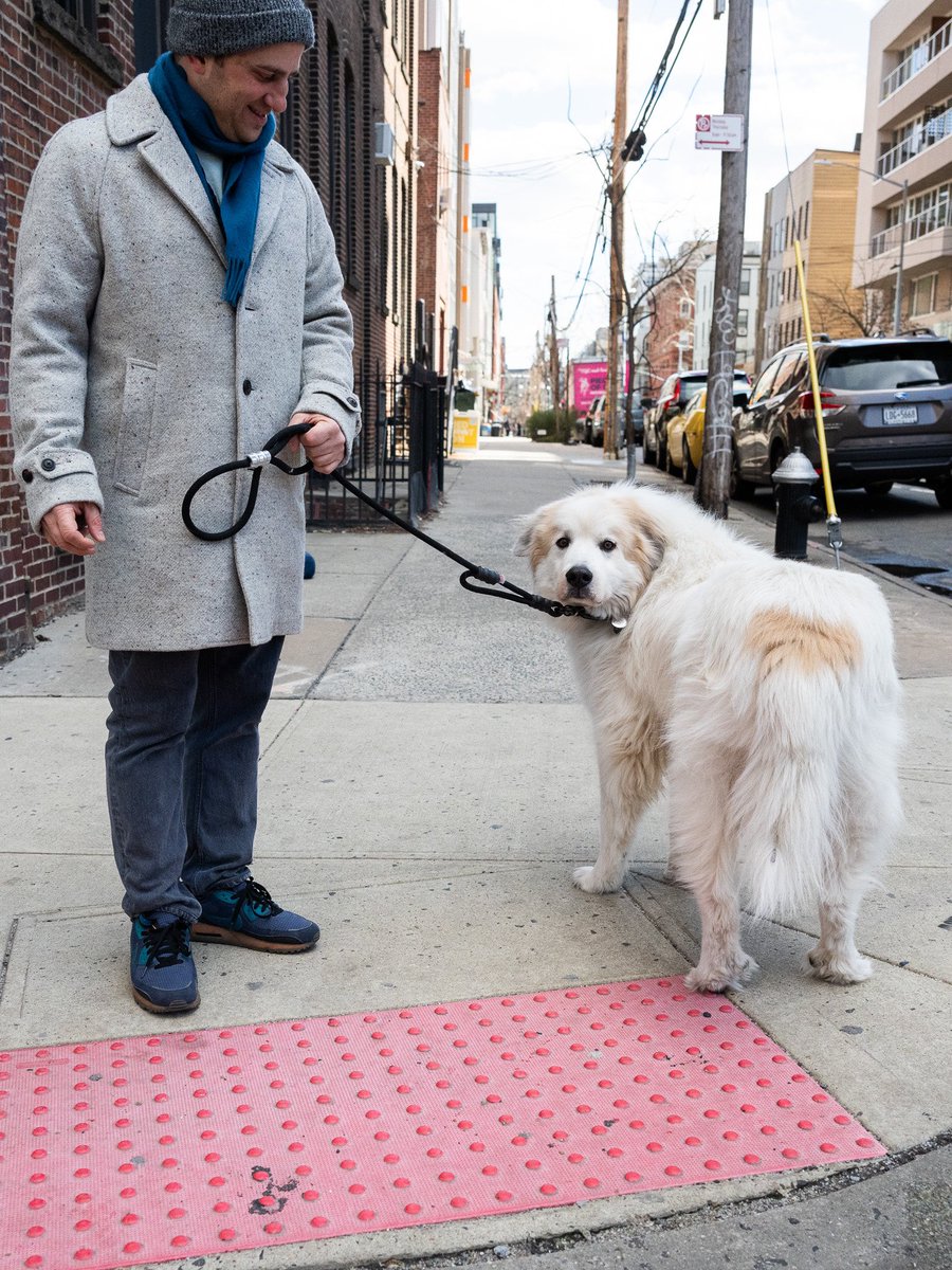 thedogist tweet picture