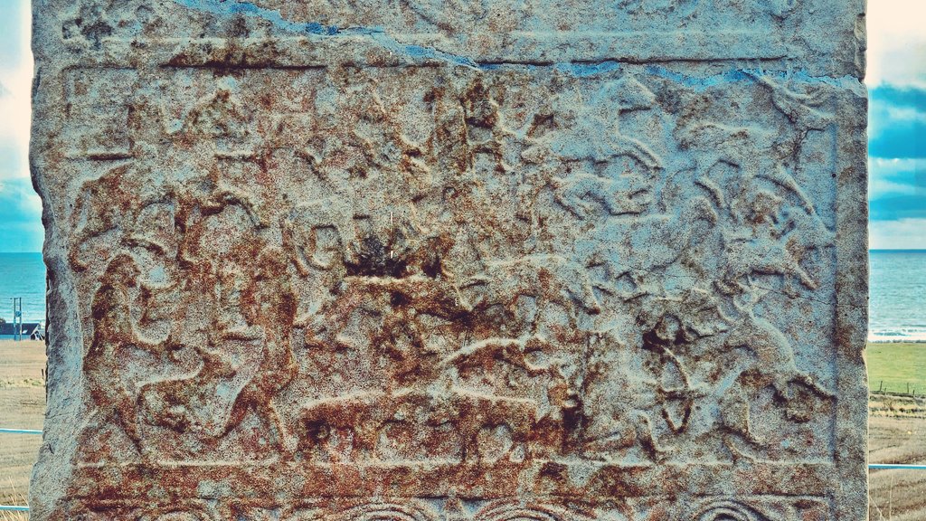 Adrián Maldonado tweet media