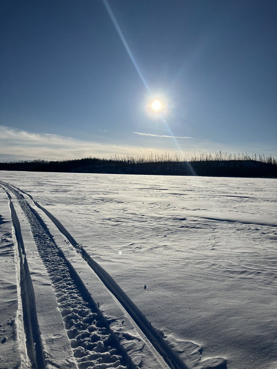 bforsber's tweet image. #Sharing what I learn, everyone is unfortunately close to #TerminalCancer  I often forget to describe the feeling of being alone,  no matter the support, it takes effort stay on top of it all. Very #Important to follow, and reach out to those positive influences Always  a way