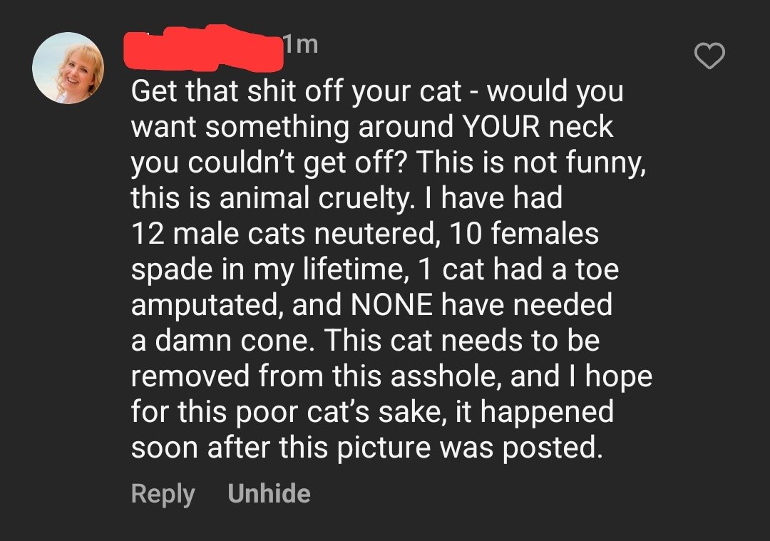 apparently it is animal cruelty to slightly annoy your cats