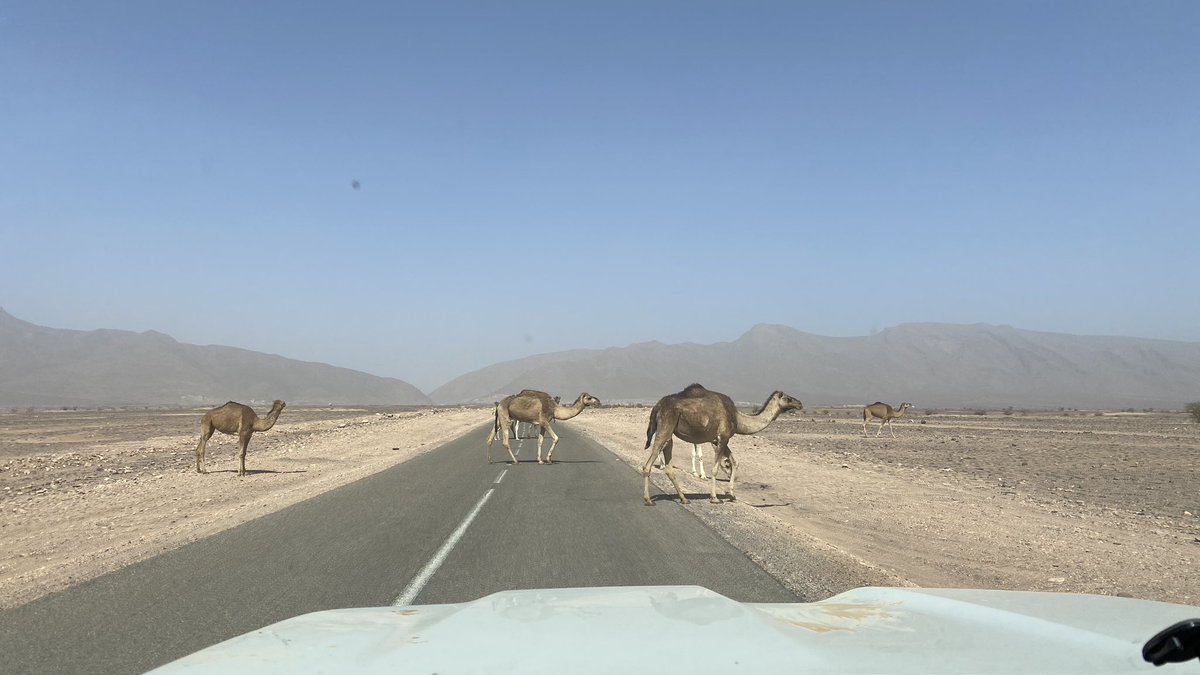 Morocco! 
I’ve been helping Chris Scott find new great routes for the 4th edition of his Morocco Overland book. Our rental Prado was perfect, and I took a Viair 88P 12 volt compressor with me which was handy for the soft sand.
@ChrisScottAdv <a href="/viaircorp/">VIAIR Corporation</a>