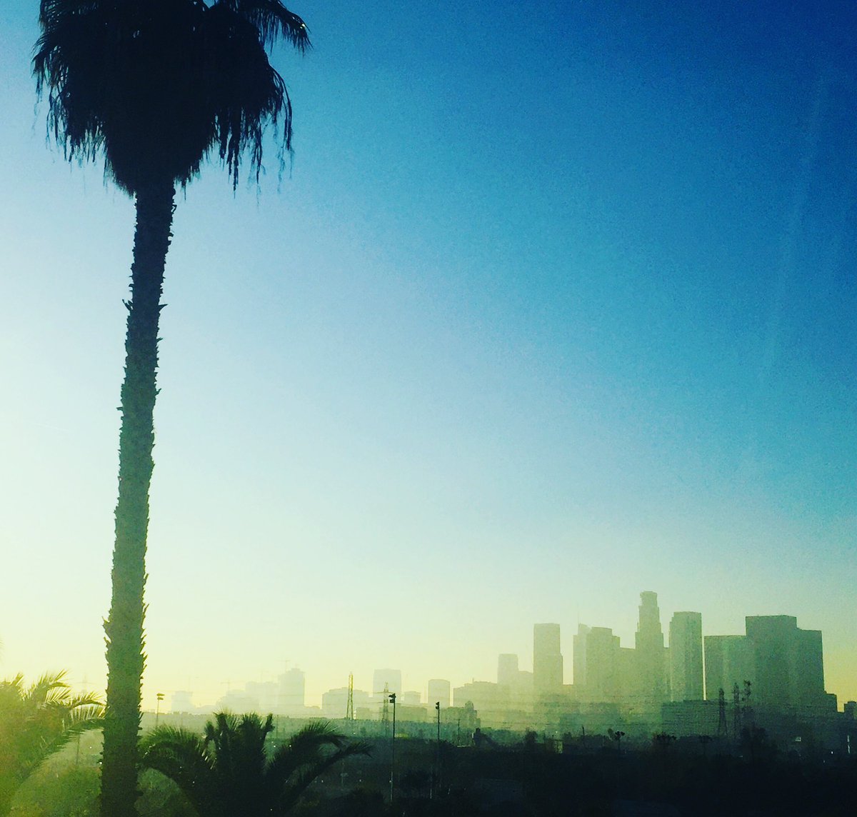 Descubre el corazón de la industria del entretenimiento en Hollywood, donde los sueños se hacen realidad y las estrellas brillan más que nunca. ✨🎥 #DreamFactory #Estrellas #HollywoodSign