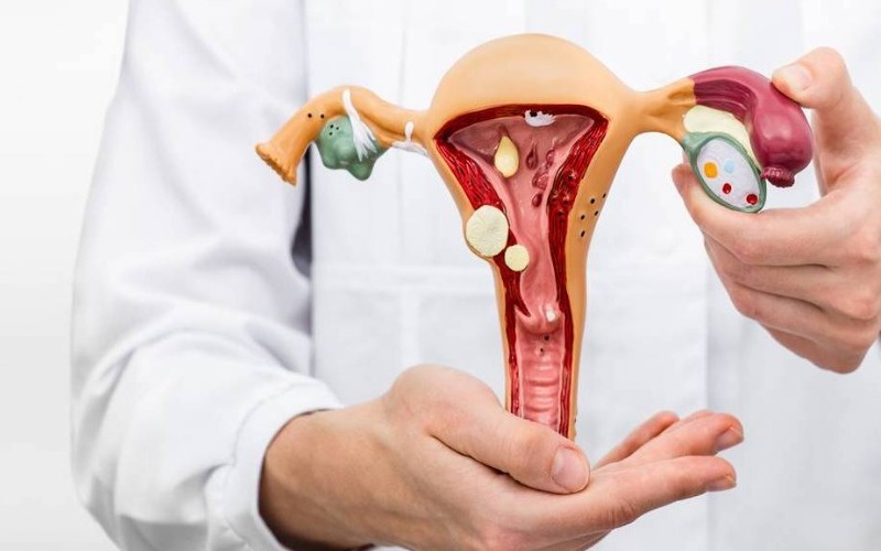 noticierovv's tweet image. #Salud | Primer Foro Mundial para la Eliminación del cáncer de cuello Uterino se realizará en Colombia

Amplía la información aquí: goo.su/Kdc4YAC

#NoticiasVV #3Mar