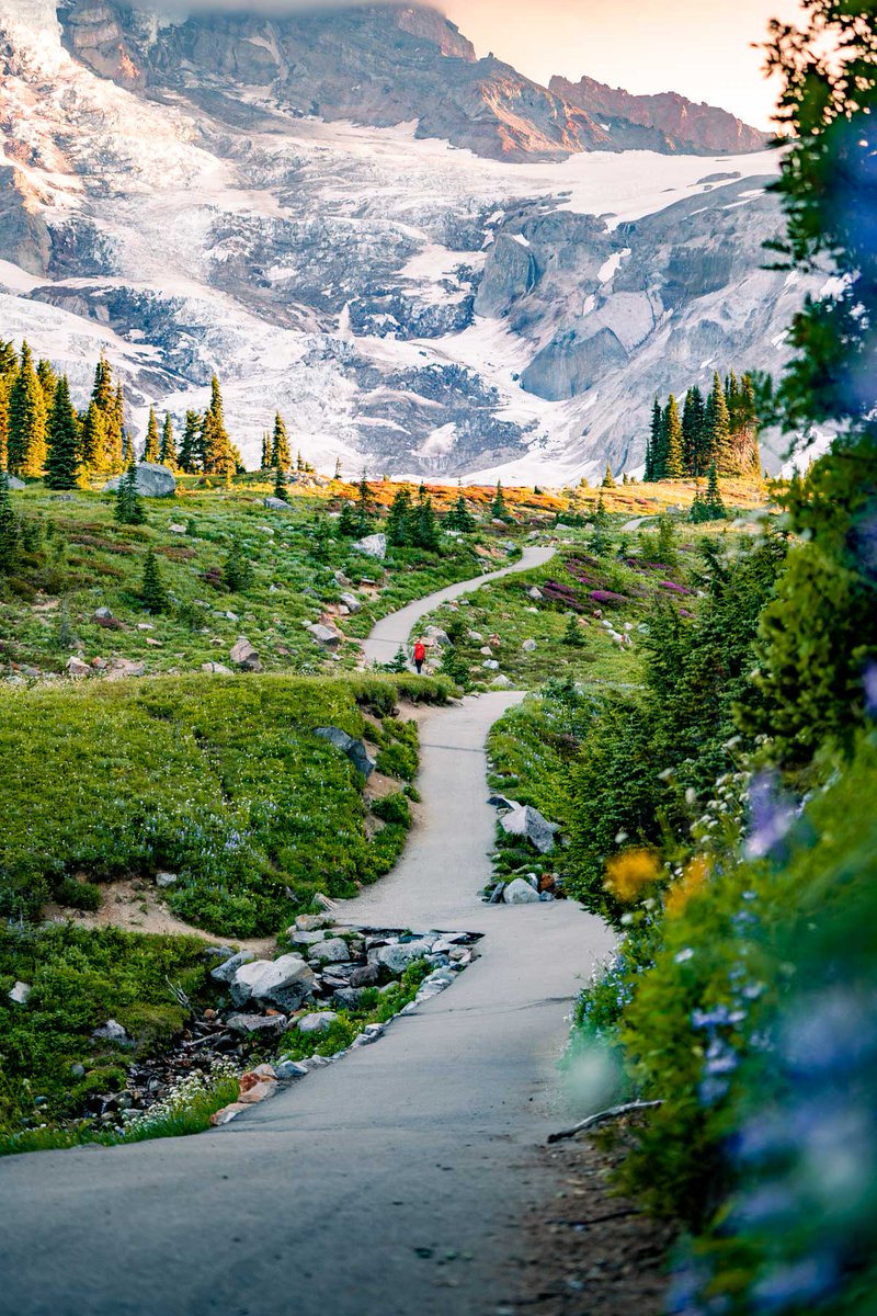 More Than Just Parks tweet media