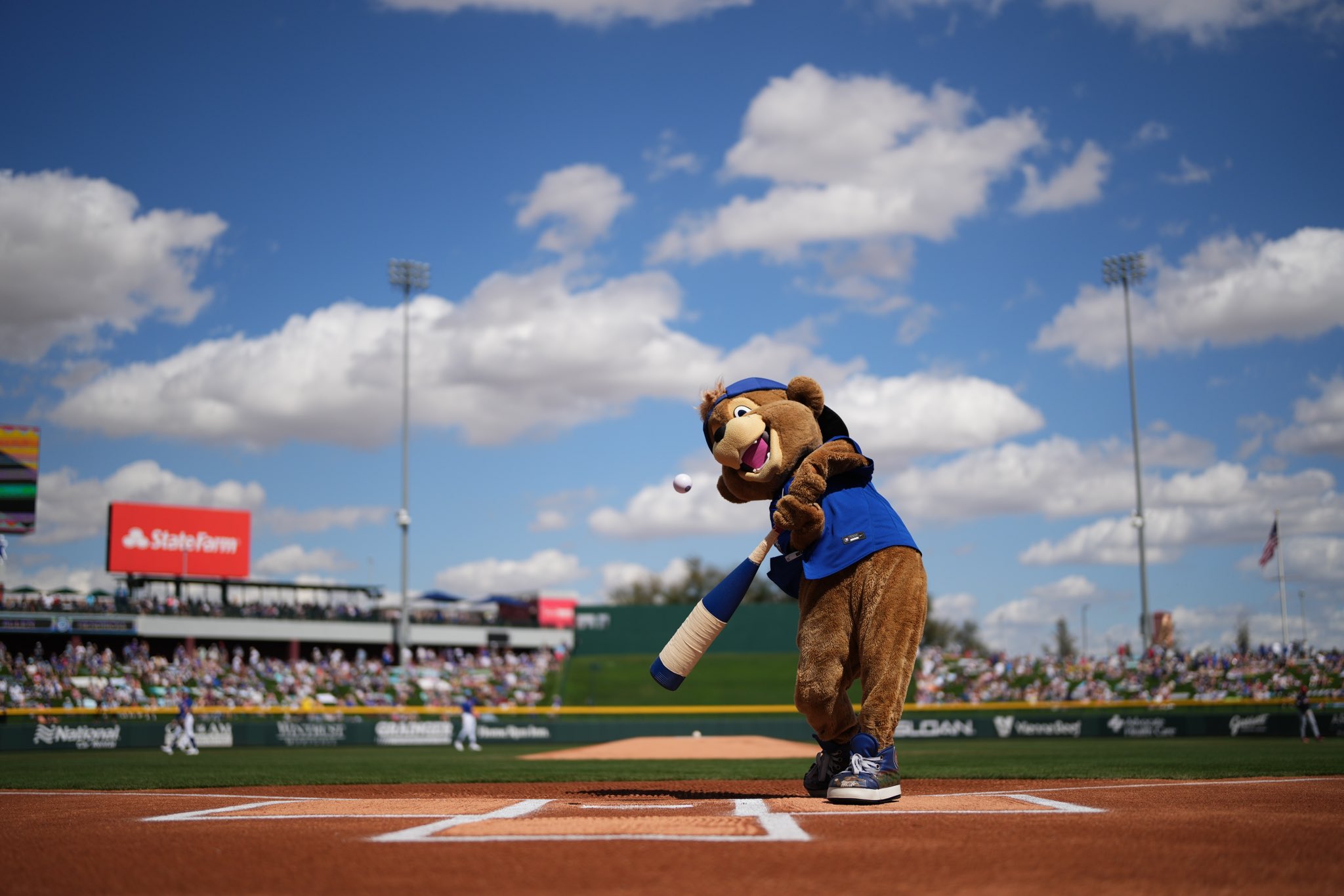 Cubs outlet live twitter