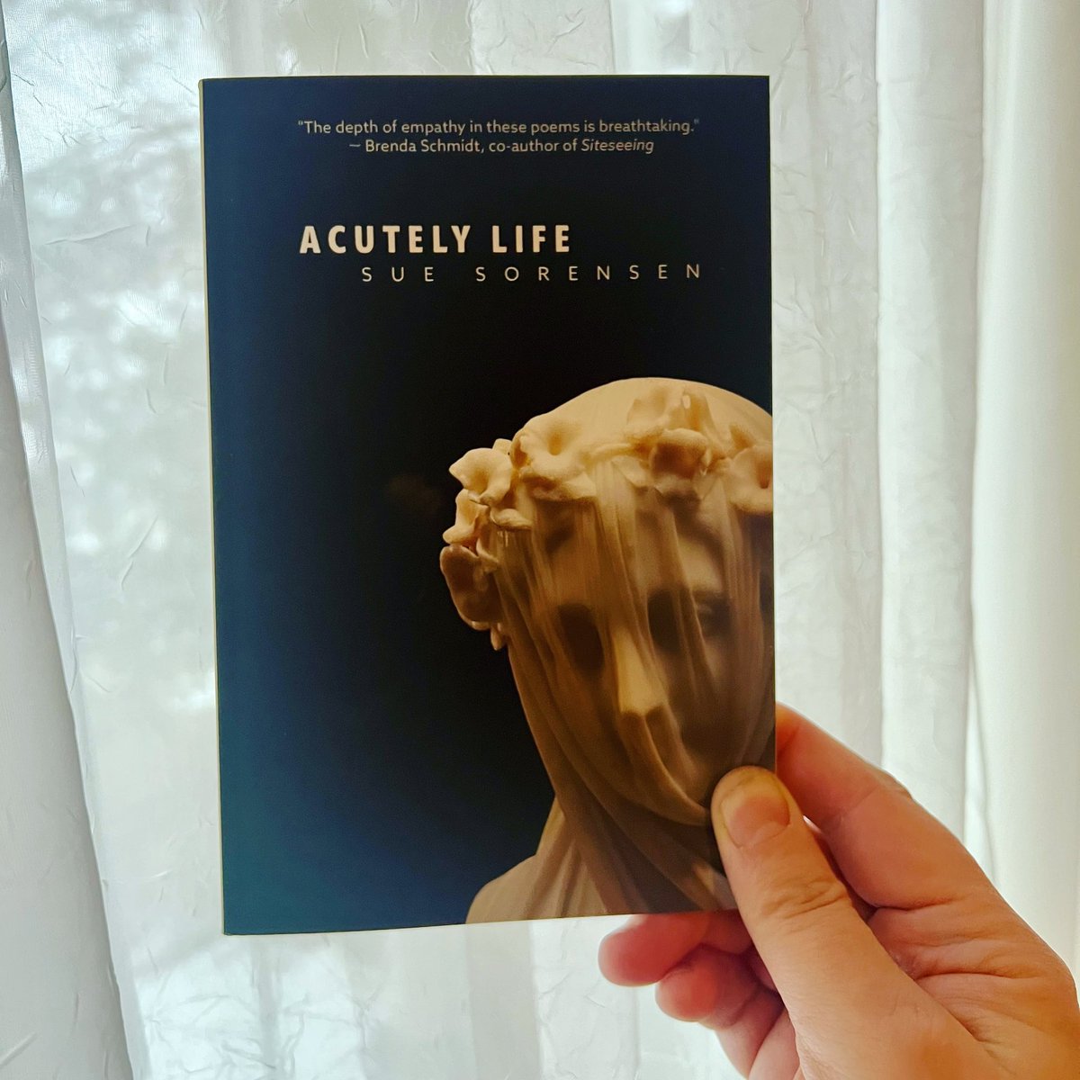 I’m looking forward to spending some time with Sue Sorensen’s first poetry book, Acutely Life (@atbaypress). Sue is a great friend and now she is a pressmate! I am ALSO looking forward to hosting her launch March 22 at @mcnallyrobinson.
