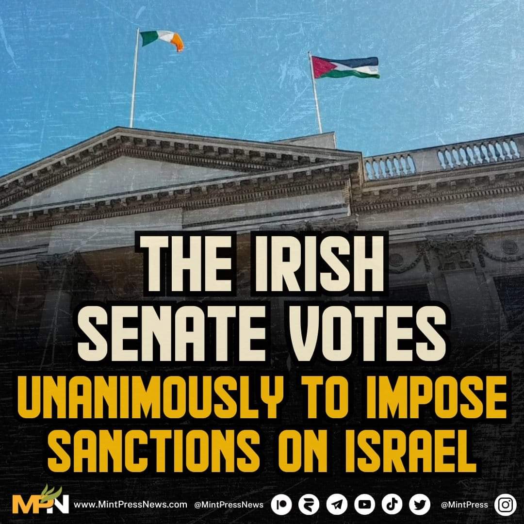 Indie 🍉🔻🍀🦺🎸🎥 tweet media