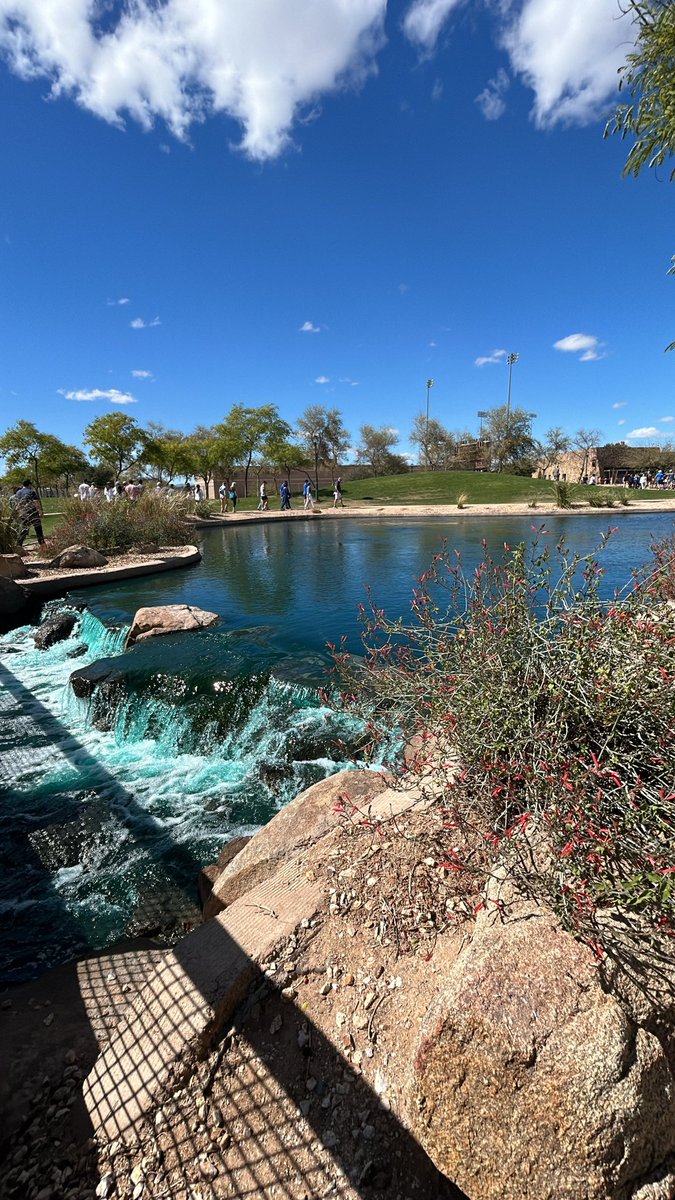 LA_shiruzo's tweet image. Camelback ranch🐪 ✨