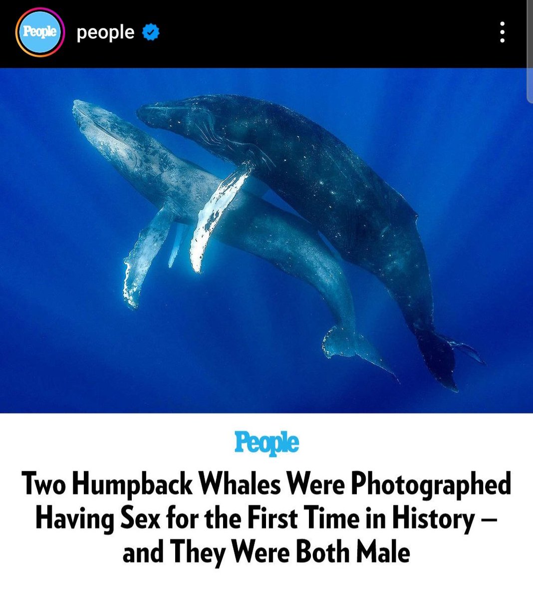 Επειδη ακουω συνεχεια οτι δεν ειναι "φυσιολογικο"...

(Φυσιολογικό = που υπάρχει, που συμβαίνει ή εξελίσσεται κανονικά, ομαλά, σύμφωνα με τη φύση και τους κανόνες της)