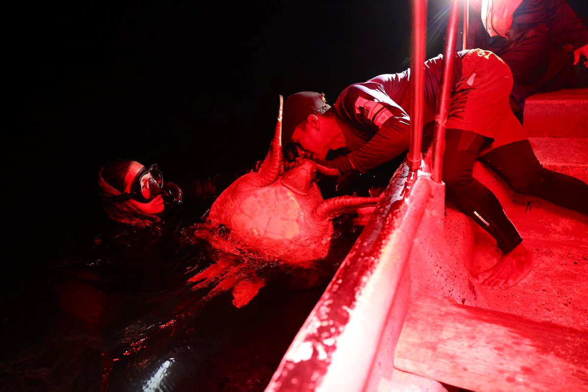 Servicio Nacional Aeronaval de Panamá tweet media