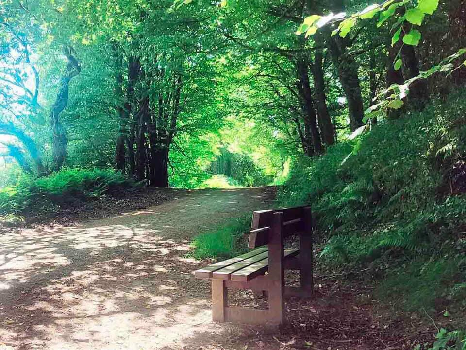 No matter where you are in County Wexford, there is a walking trail nearby! Choose your trail 👉 wexfordwalkingtrail.ie/trails-maps/ and enjoy! 🌞 #wexfordwalkingtrail #visitwexford #walkwexford #getoutdoors #irelandsancienteast