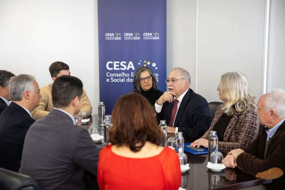 jsdacores's tweet photo. LEGISLATIVAS 2024 | REUNIÃO COM O CESA ✌️

Os candidatos da Aliança Democrática (AD) Paulo Moniz e André Pontes, acompanhados pelo presidente da JSD/A, Luís Raposo, por Délia Melo e António Vasco Viveiros, reuniram com o Conselho Económico e Social dos Açores. 

#Legislativas2024 https://t.co/f6EDgNy9jt