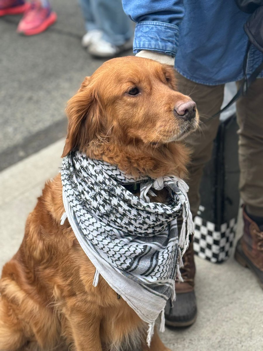 Katliam devam ediyor! #GazzedeKatliamVar #GazzedeVahset