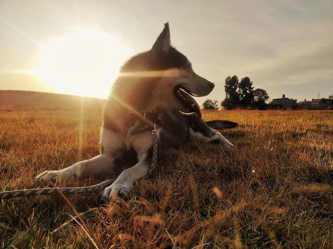 Aaron Cristobal felicidades tu fotografía es la portada de hoy!