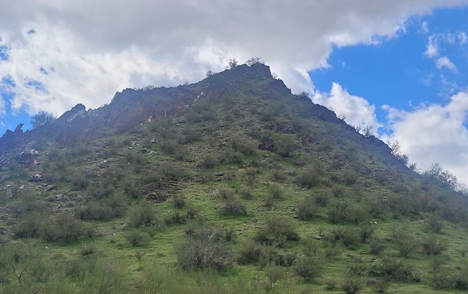 Beautiful day in Phoenix ⛅ https://t.co/jcGWdYiKqI<a href="/tag/books"class="tags"><span>#books</span></a><a href="/tag/amazon"class="tags"><span>#amazon</span></a><a href="/tag/read"class="tags"><span>#read</span></a><a href="/tag/hotwife"class="tags"><span>#hotwife</span></a><a href="/tag/readingissexy"class="tags"><span>#readingissexy</span></a><a href="/tag/mrssexy"class="tags"><span>#mrssexy</span></a>