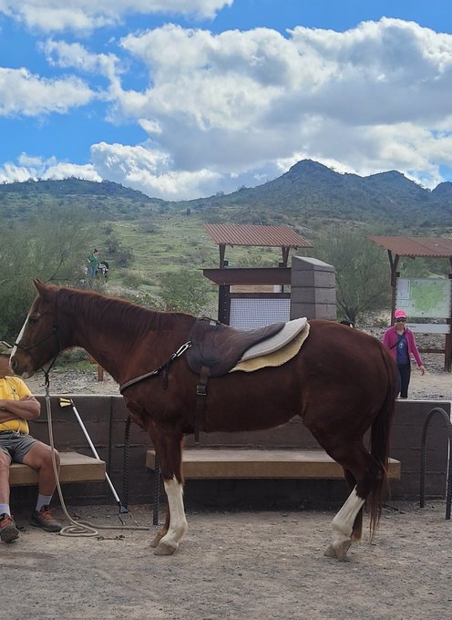 Beautiful day in Phoenix ⛅ https://t.co/jcGWdYiKqI<a href="/tag/books"class="tags"><span>#books</span></a><a href="/tag/amazon"class="tags"><span>#amazon</span></a><a href="/tag/read"class="tags"><span>#read</span></a><a href="/tag/hotwife"class="tags"><span>#hotwife</span></a><a href="/tag/readingissexy"class="tags"><span>#readingissexy</span></a><a href="/tag/mrssexy"class="tags"><span>#mrssexy</span></a>