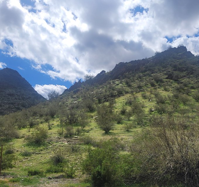 Beautiful day in Phoenix ⛅ https://t.co/jcGWdYiKqI<a href="/tag/books"class="tags"><span>#books</span></a><a href="/tag/amazon"class="tags"><span>#amazon</span></a><a href="/tag/read"class="tags"><span>#read</span></a><a href="/tag/hotwife"class="tags"><span>#hotwife</span></a><a href="/tag/readingissexy"class="tags"><span>#readingissexy</span></a><a href="/tag/mrssexy"class="tags"><span>#mrssexy</span></a>