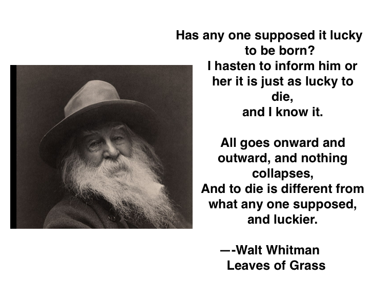 Traveling Together to a New America. 
'The Journey, the Story & the Book':
bit.ly/3iejVZH

#whitman #waltwhitman #leavesofgrass #poetry #americanpoets #lifeanddeath #afterdeath #deathdoula #facingdeath #greatpoets #eternity #eternitynow