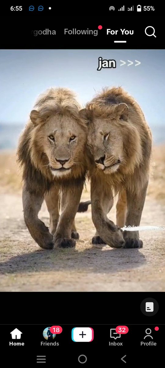 Things are never quite as scary when you've got a best friend." — Bill Watterson.