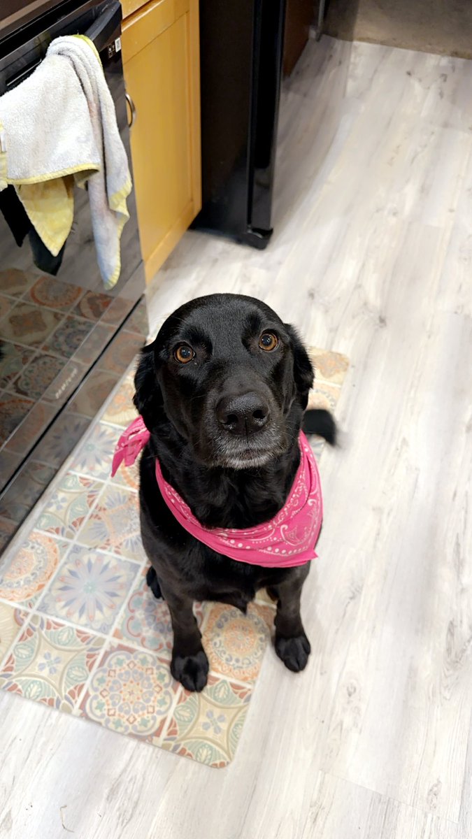 Tonia Heffley M.A. Ed ☮️ tweet media