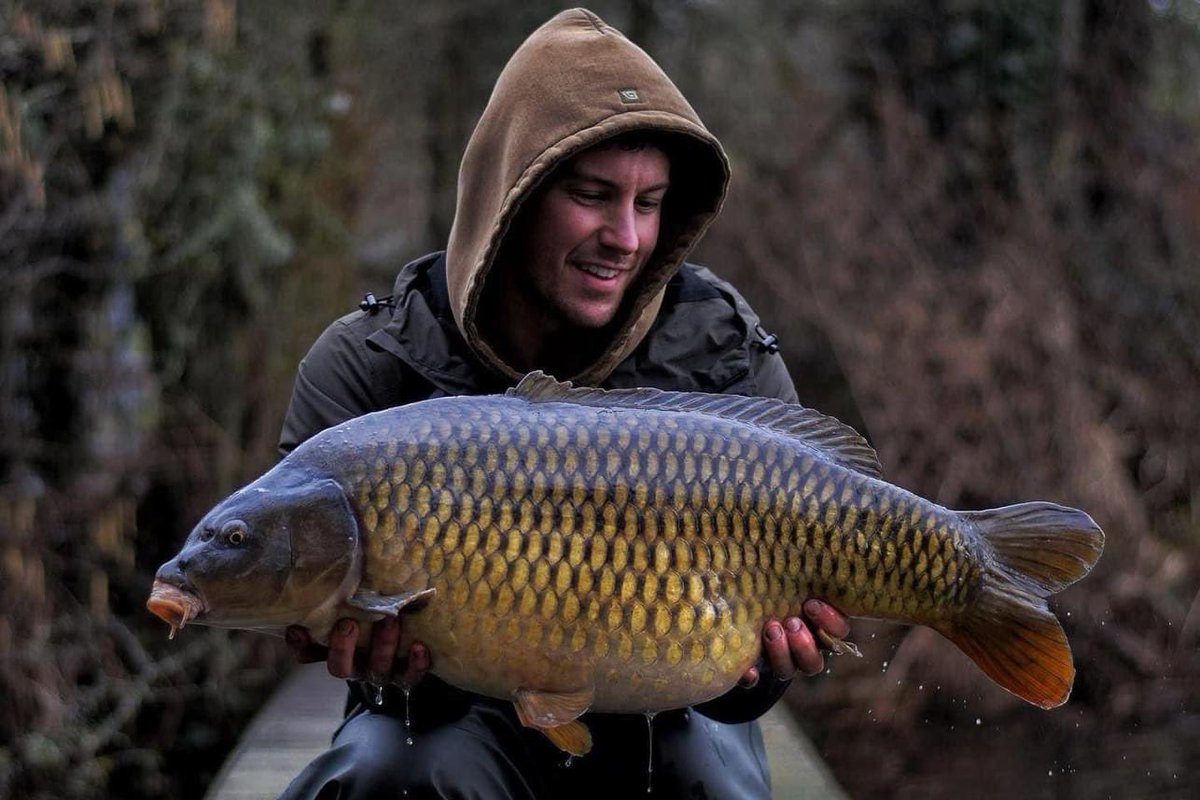 Increditackle's tweet photo. Ollie had a productive over nighter at Chilham Mill where he had 6 bites with 5 landed, the biggest going 32lb. All secured to the net by a Slip D rig made up with a size 5 Avenger Beaked hook and other components.

https://t.co/WHBZcD1npI

#carpfishing #IG #incredibletackle https://t.co/EXhsXcAVni