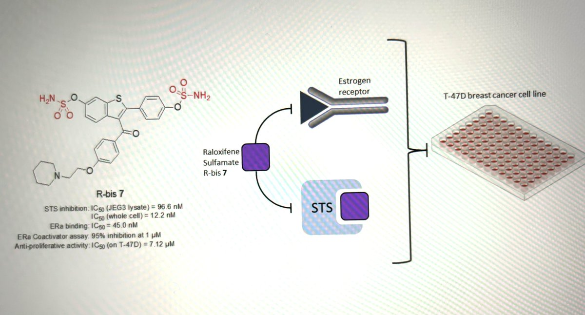 bpfusionjazz's tweet photo. Our new paper on Raloxifene-based dual targeting agents for cancer just published in Bioorg Med Chem from an excellent collaboration between groups in Oxford, Bath, UAE, Egypt and Birmingham UK https://t.co/hvtFkNpFJC
@PharmOxford @PharmUnivBath @UniofOxford @UnivOxford https://t.co/HimDw2zuq7