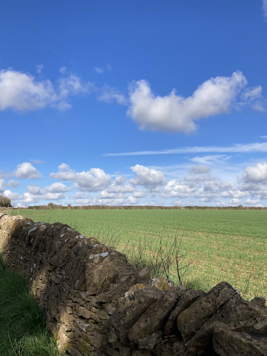 ceadela's tweet image. Contrasting skies: mid February in the North West, early March in West Oxon #Springisonitsway