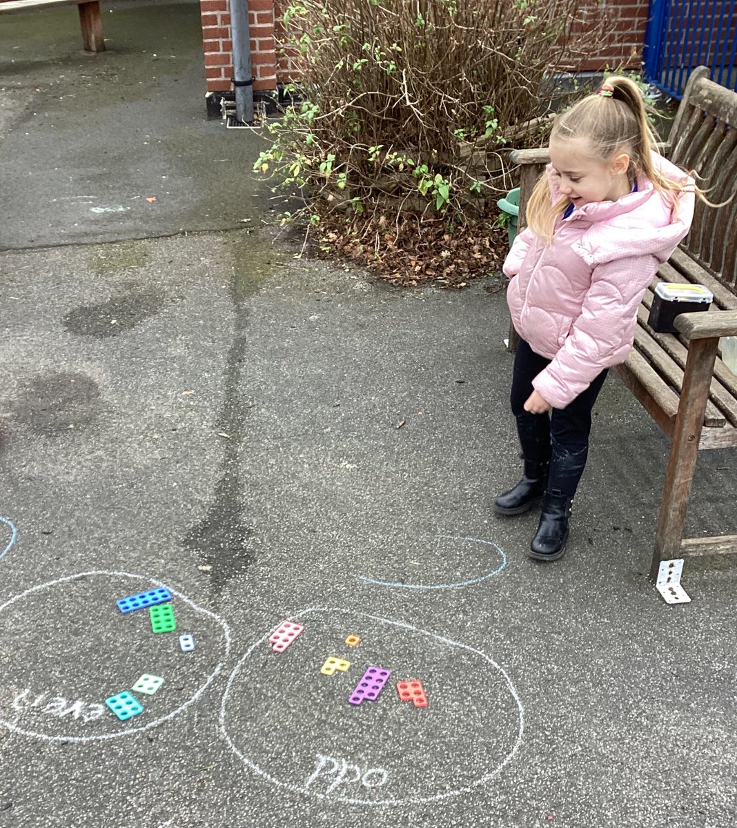 Tang Hall Wrens tweet media